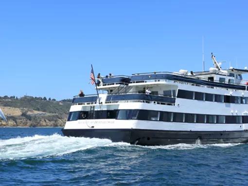 San Diego Whale & Dolphin Watching Cruise