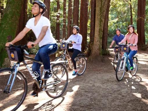 San Francisco Self-Guided Bike Tour (24-Hour Rental)