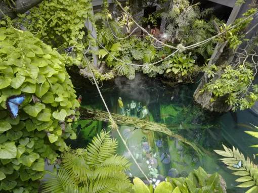 San Francisco CityPASS