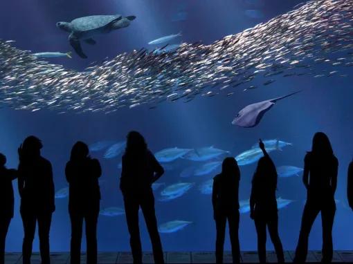 San Francisco CityPASS