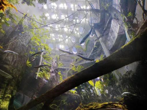 San Francisco Explorer Pass