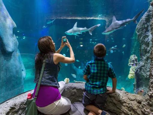 SEA LIFE Orlando