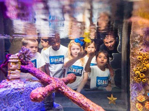 SEA LIFE Orlando