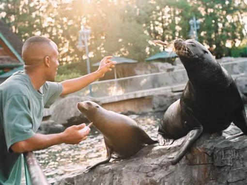 SeaWorld Parks & Entertainment®