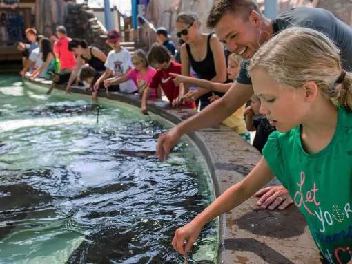 SeaWorld California One Day Ticket with Six Days Free