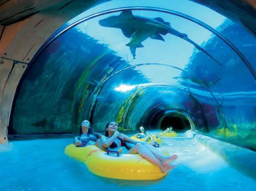 Ultimate Tenerife Ticket