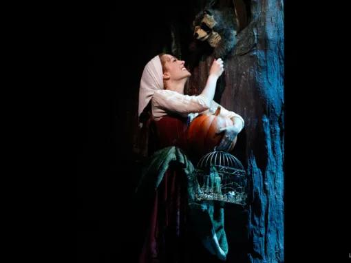 Cinderella on Broadway