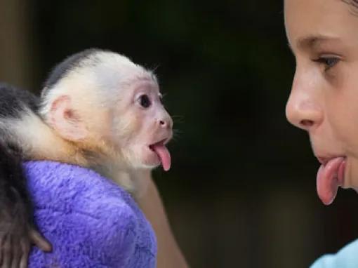 Go Miami Explorer Pass