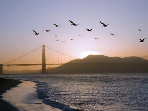 California Sunset San Francisco Bike Tour