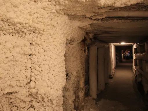 Wieliczka Salt Mine Tour