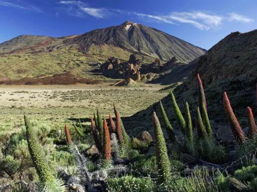 Mount Teide & Las Cañadas National Park