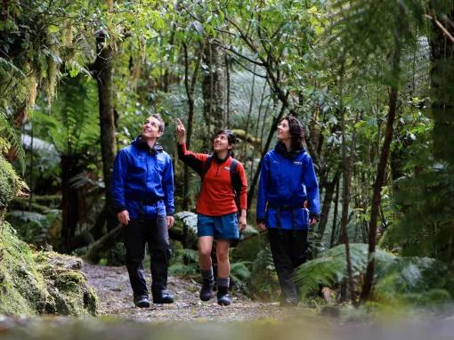 Franz Josef Glacier Valley Walk