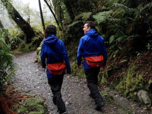 Franz Josef Glacier Valley Walk