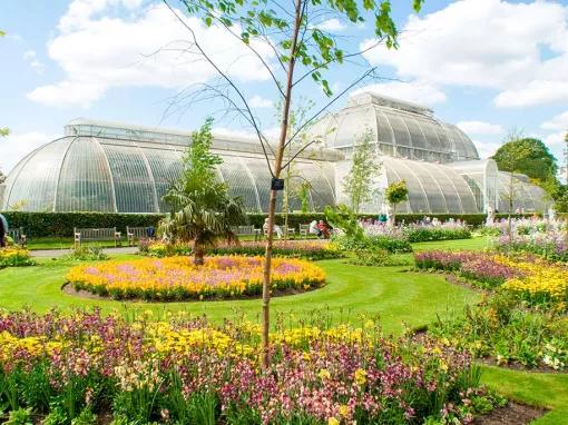 Visit to Kew Gardens and Palace with Cream Tea for Two