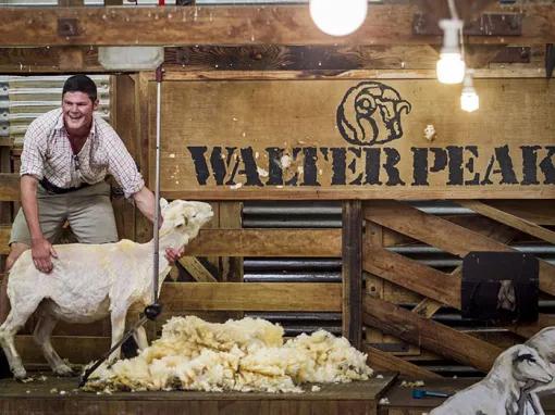 Walter Peak High Country Farm