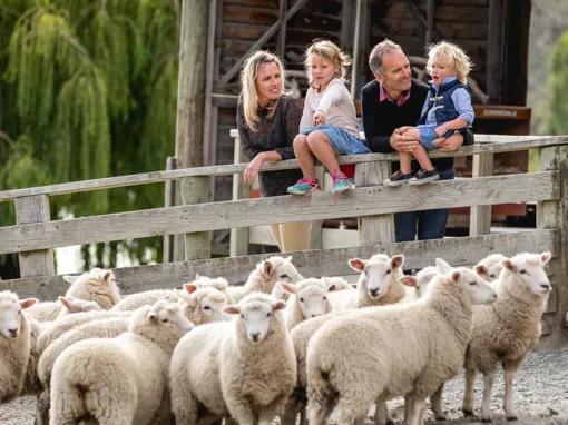 Walter Peak High Country Farm