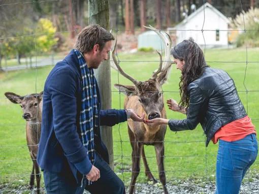 Walter Peak High Country Farm