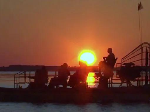 Wild Florida Airboat Night Ride with Gator Park Admission