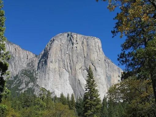 Yosemite National Park in a Day from San Francisco