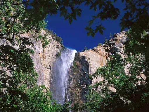Yosemite National Park in a Day from San Francisco