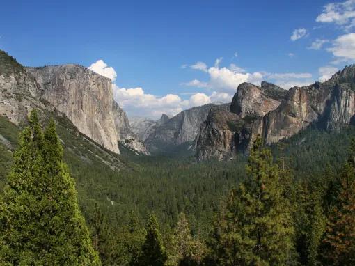 Yosemite National Park in a Day