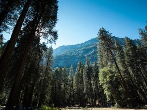 Yosemite National Park in a Day