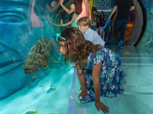 Sea Life Orlando Tickets