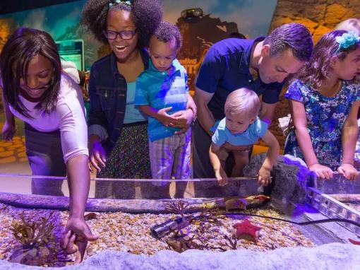 Sea Life Orlando Tickets