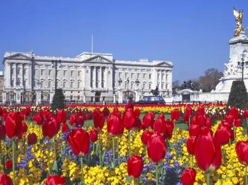 Buckingham Palace with Royal Mews Tickets