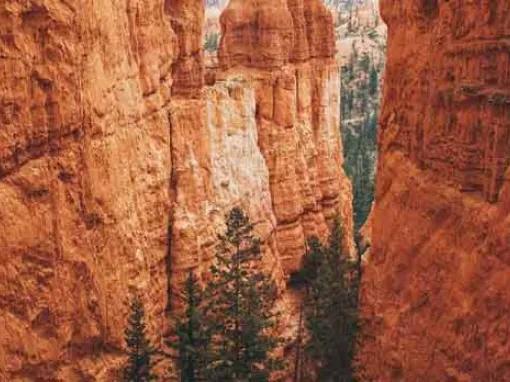 Bryce Canyon National Park Day Trip