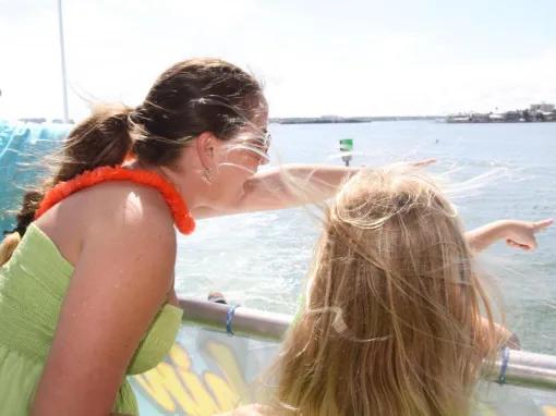 Dolphin Encounter Cruise in Clearwater