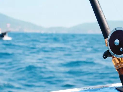 Gulf Coast Deep Sea Fishing Tour from Orlando