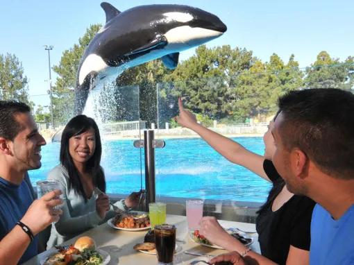 Dine with Killer Whales at SeaWorld Orlando