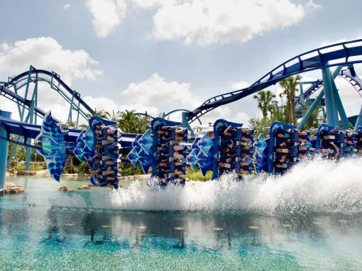 Manta at SeaWorld Orlando