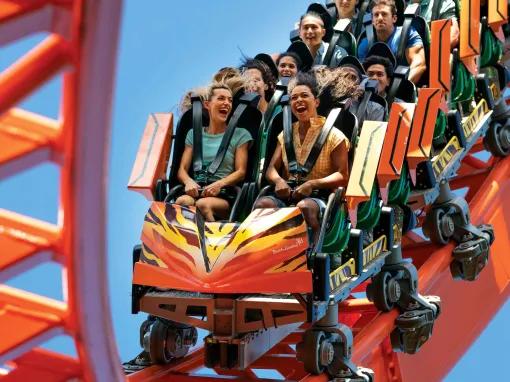 Tigris at Busch Gardens Tampa Bay