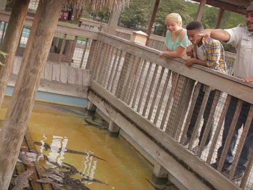 Gatorland Trainer for a day