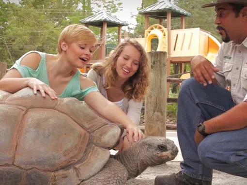 Gatorland Trainer for a day