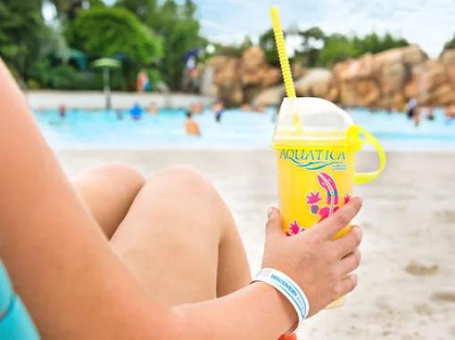 All-Day Dining Deal at Aquatica Orlando