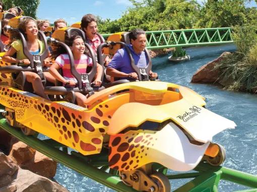 Cheetah-Hunt at Busch Gardens Tampa Bay