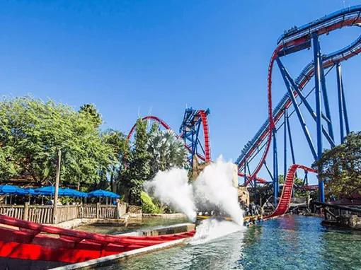 ShieKra at Busch Gardens Tampa Bay
