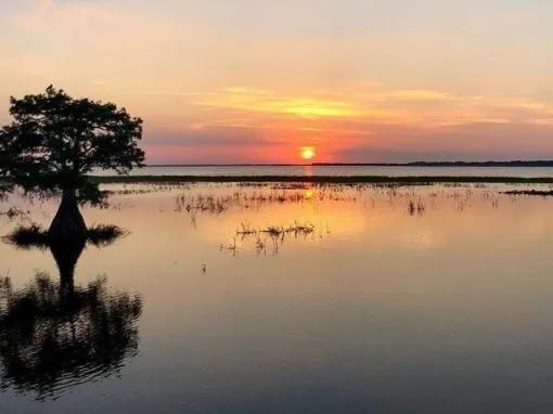 Boggy Creek Orlando Airboat Night Tour