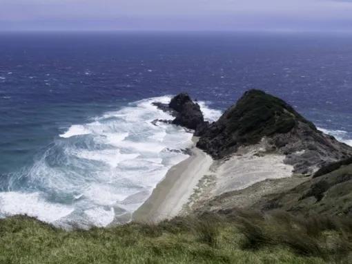 Cape Reinga