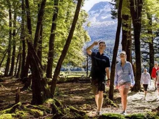 Dart River Wilderness Safari