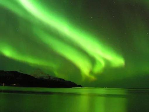 Northern Lights by boat