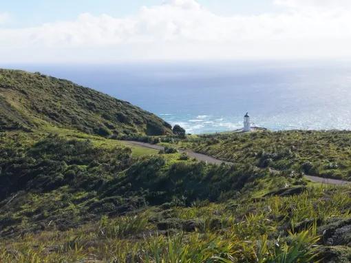 Cape Reinga