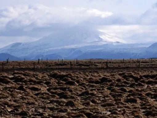 Super Jeep South Coast Tour