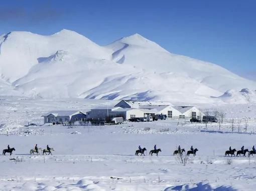 Horse Riding Golden Circle