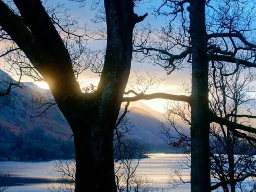 Glamping in Lake District