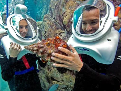 SeaVenture underwater walking tour at Discovery Cove