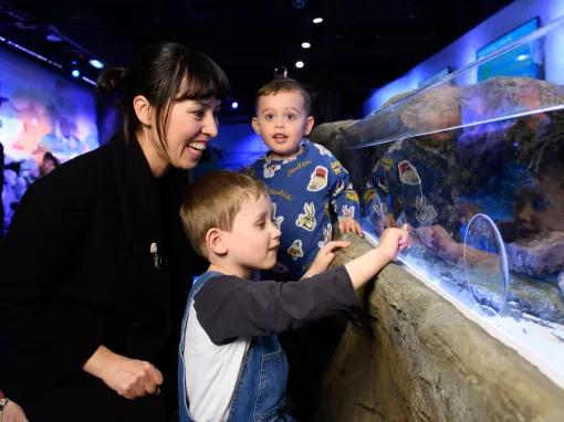 Family enjoying the Rock Pool Explorer at SEA LIFE London Aquarium
